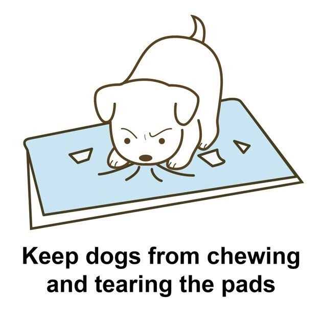 Potty Pad Tray Y8375