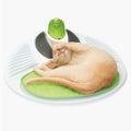 Pet Wellness Center P394