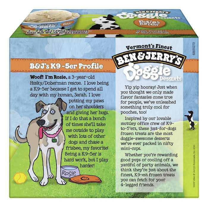 Frozen Dog Treat Pumpkin & Mini Cookies V17996