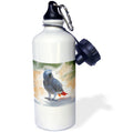 African Grey Parrot Sports Water Bottle 21oz Z77211