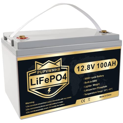 12V 100Ah LiFePO4 Deep Cycle Battery with Built-in BMS H97955