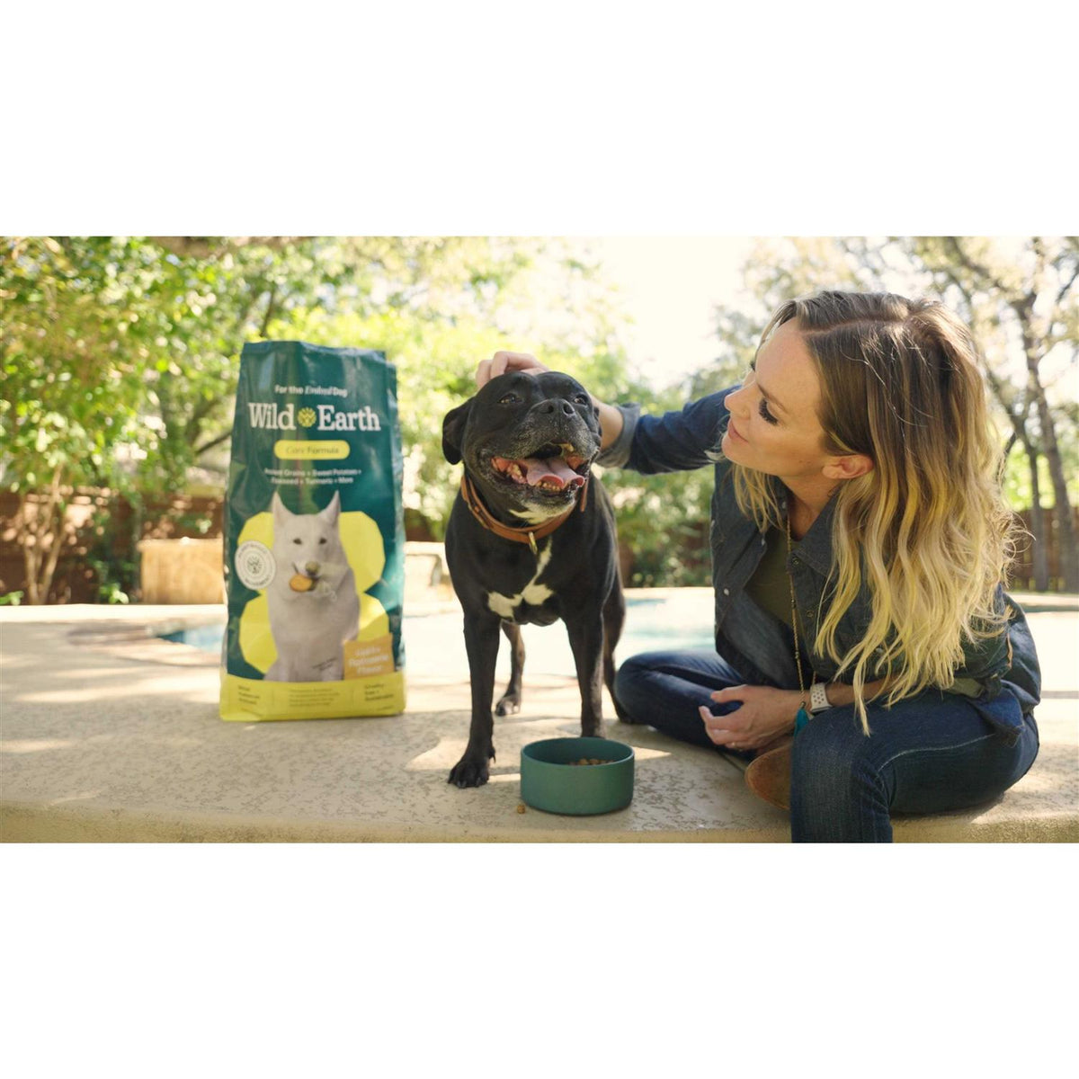 Classic Roast Flavor Dry Dog Food F364466