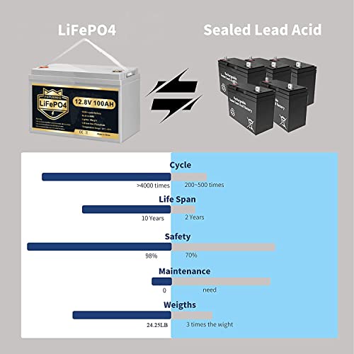 12V 100Ah LiFePO4 Deep Cycle Battery with Built-in BMS H97955