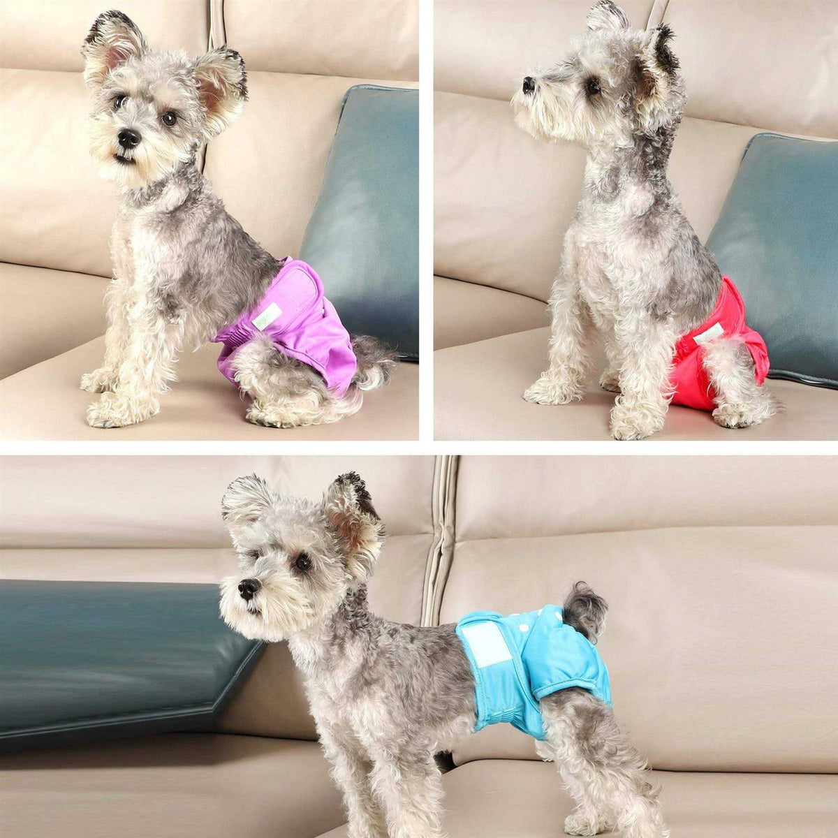 Washable Reusable Dog Diapers X562