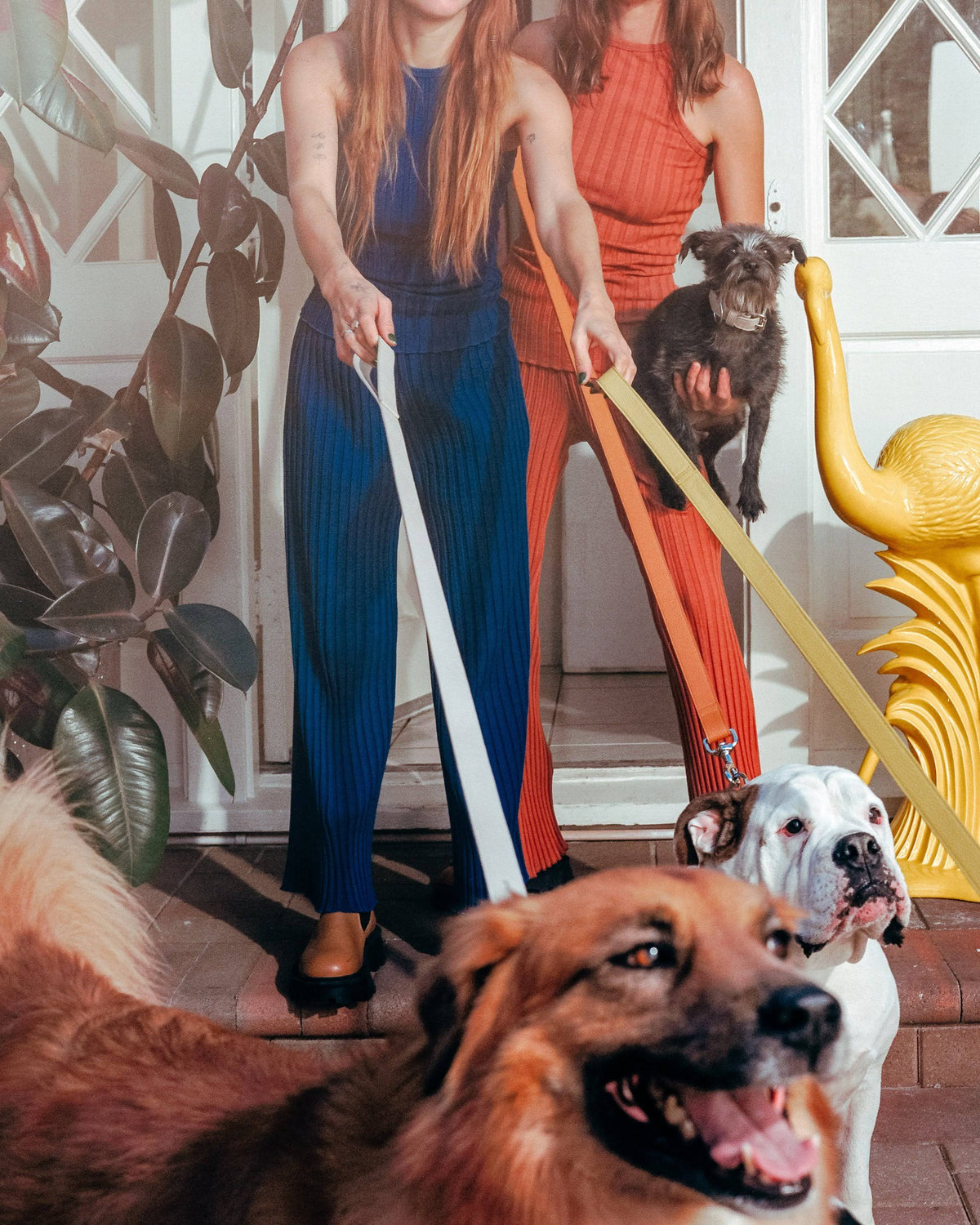 Toffee Dog Leash C394088