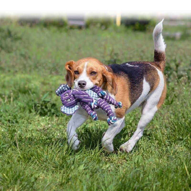 Elephant Dog Toy M719366