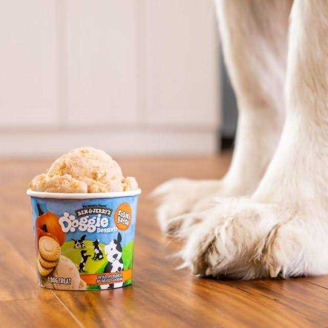 Frozen Dog Treat Pumpkin & Mini Cookies V17996