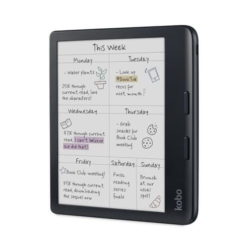 Black eReader with Case Bundle I9531