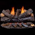 30 in. Dual Fuel Gas Log Set with Remote Control Q126