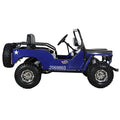 125cc Go Kart 3-Speed Semi-Automatic with Reverse T193223