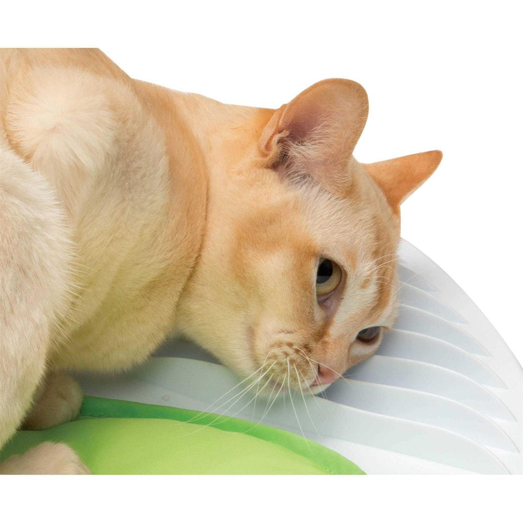 Pet Wellness Center P394