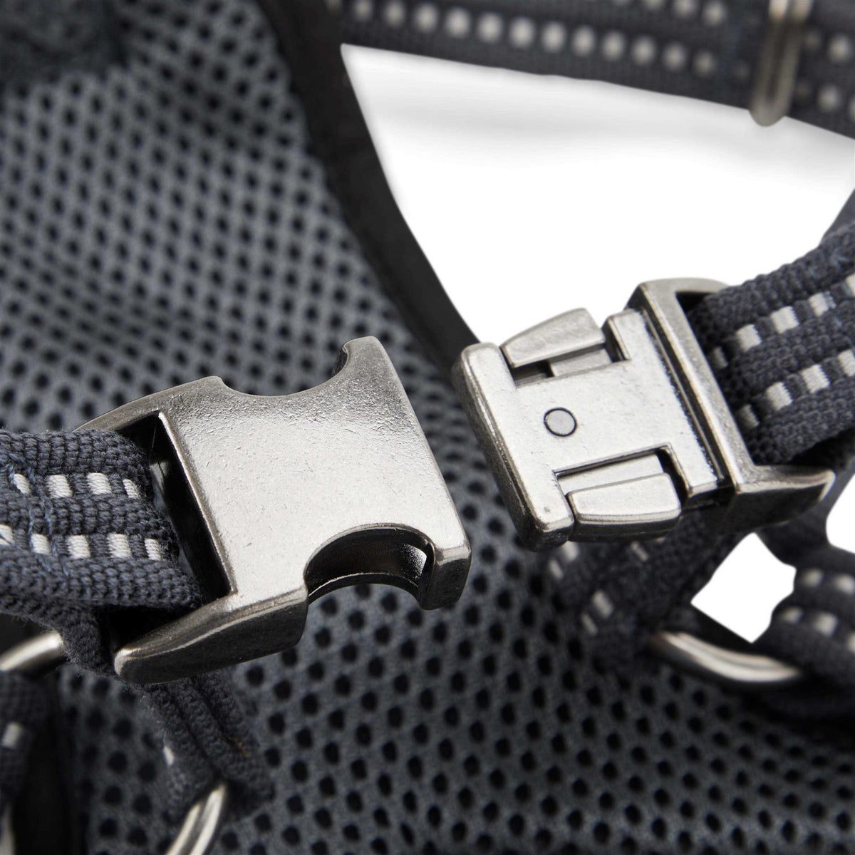 Small Dog Harness Q8327