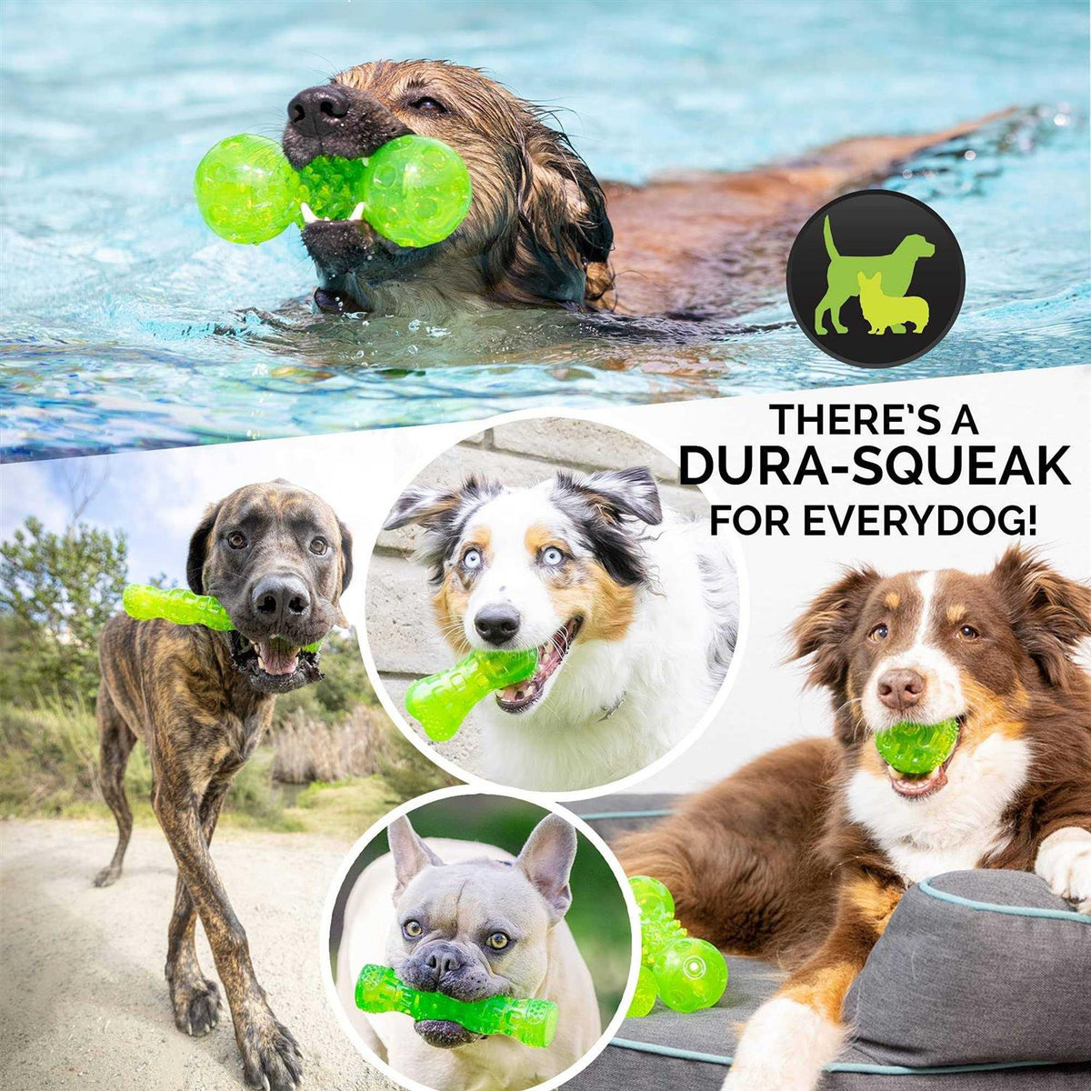 Dog Toy Stick T545