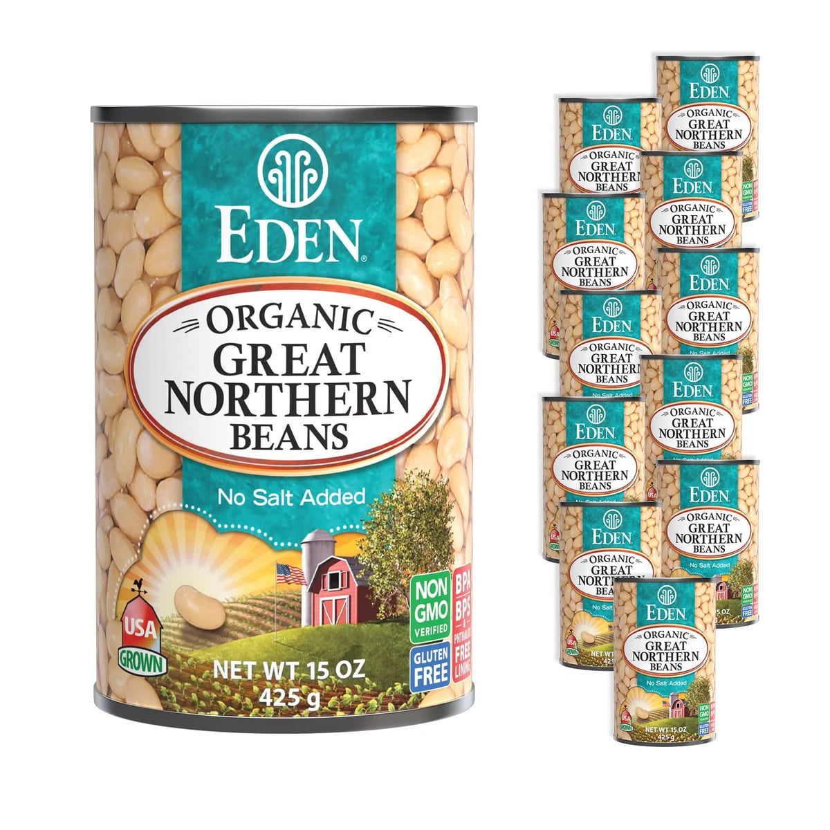 Organic Great Northern Beans 15 oz 12-Pack No Salt Added Z411