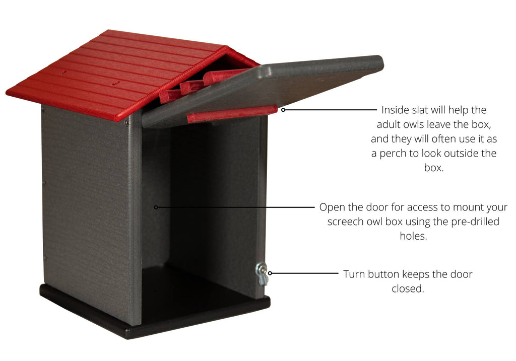 Poly Screech Owl House B424920