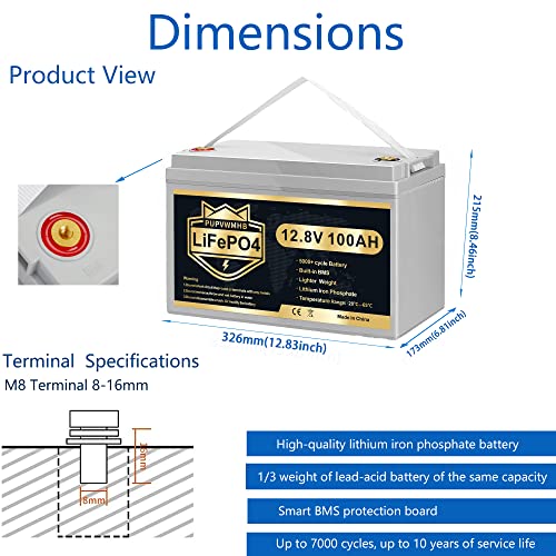 12V 100Ah LiFePO4 Deep Cycle Battery with Built-in BMS H97955