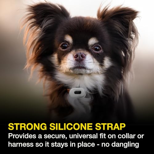 Rechargeable LED Dog Collar Light - Waterproof Silicone Safety Light E183
