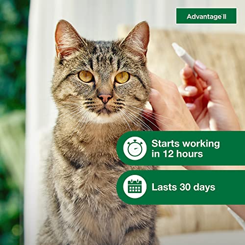 12-Month Supply Flea Treatment for Cats Over 9 lbs. V31507
