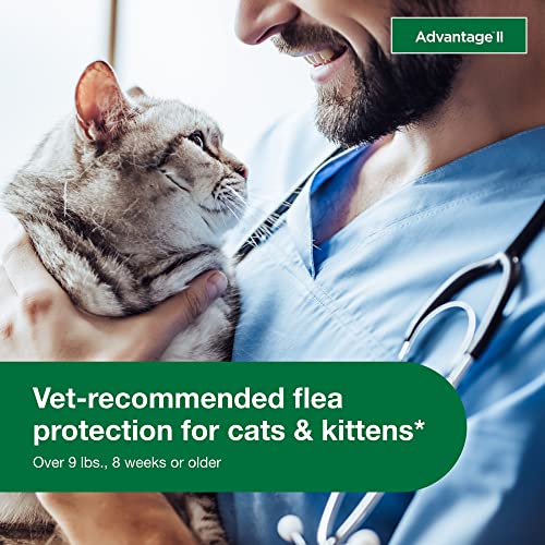 12-Month Supply Flea Treatment for Cats Over 9 lbs. V31507