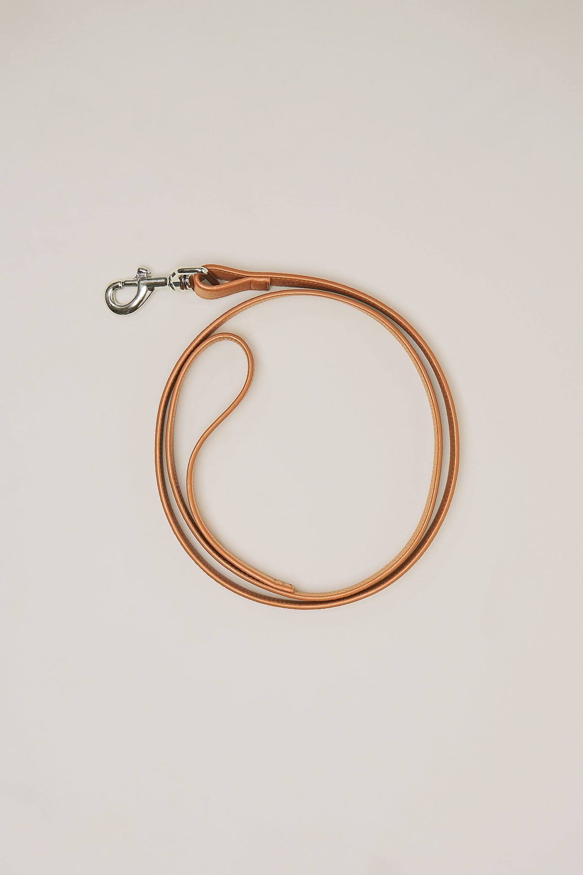 Toffee Dog Leash C394088