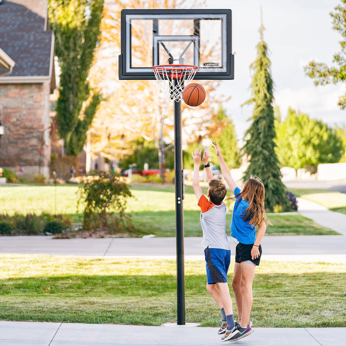 Adjustable Inground Basketball Hoop 50 inch Polycarbonate Z713