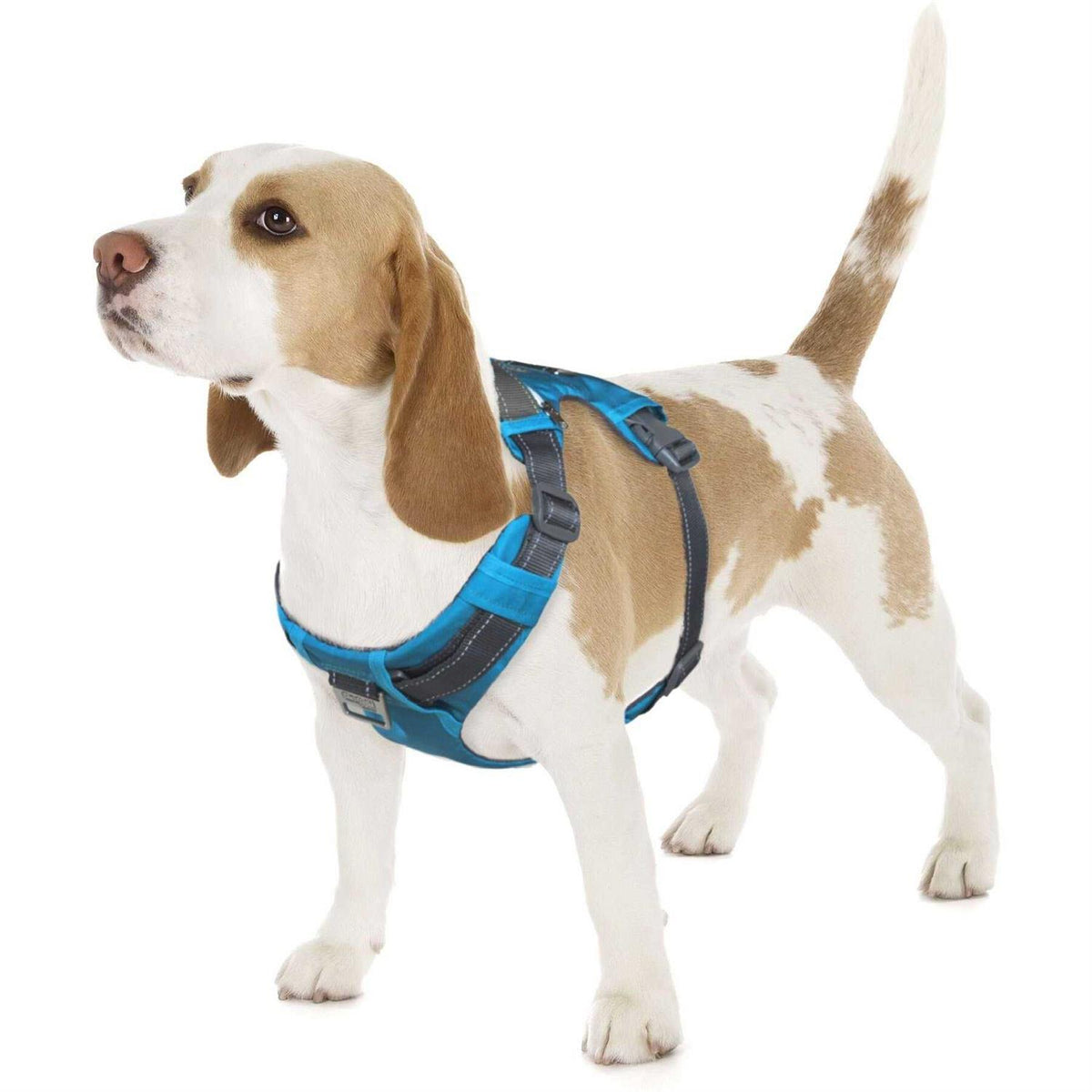 Adjustable Dog Harness with Pockets F712984