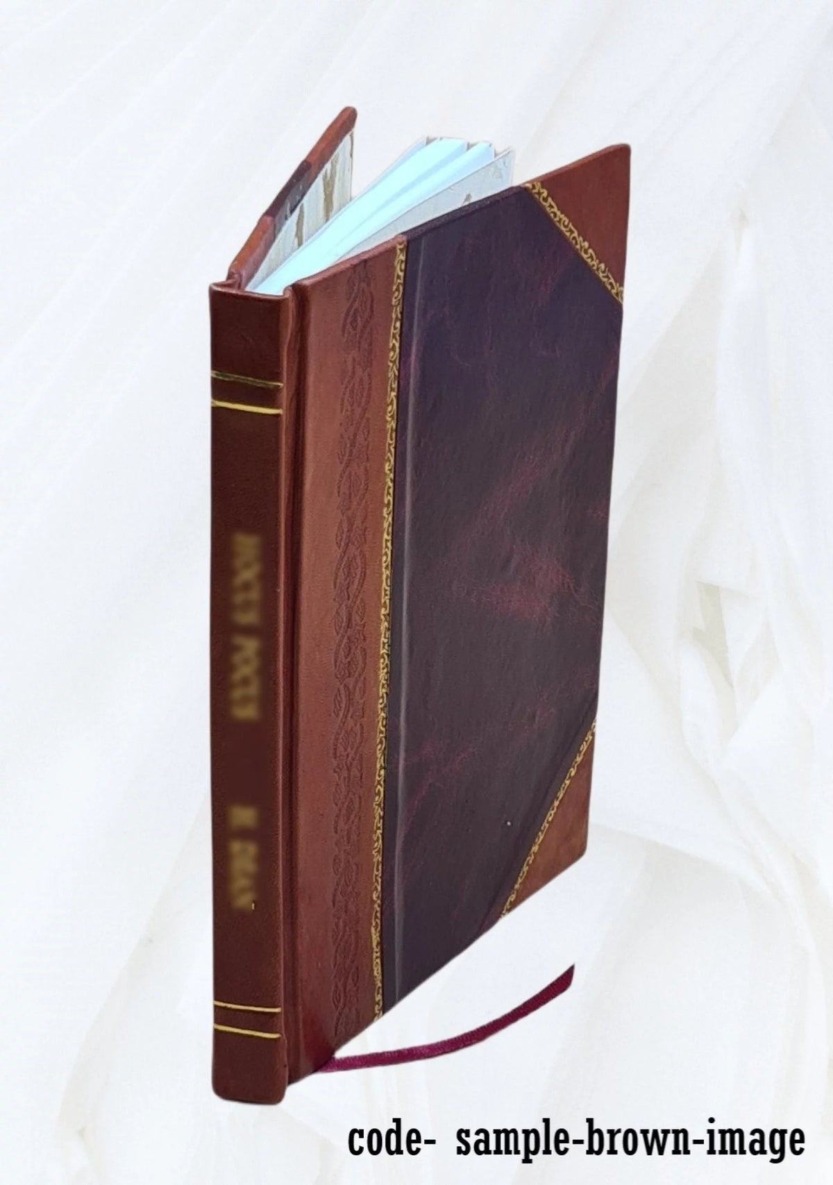 1977 Leather Bound N53318