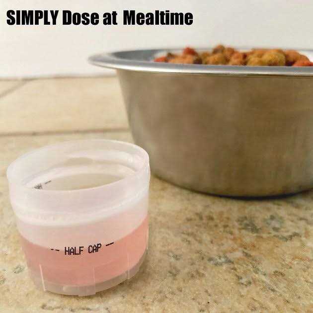 Chicken Teeth & Gums Support Cat Formula V105520
