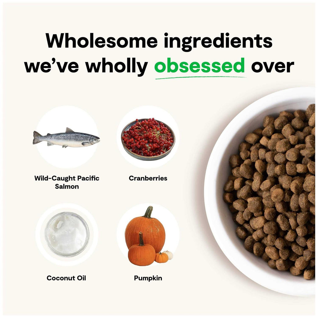 Grain-Free Wild-Caught Salmon Dry Dog Food F9031