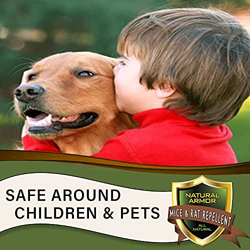 128 OZ Peppermint Natural Rodent Repellent Spray A18900