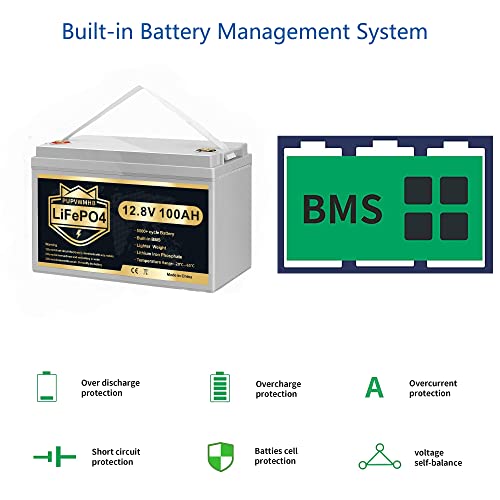 12V 100Ah LiFePO4 Deep Cycle Battery with Built-in BMS H97955