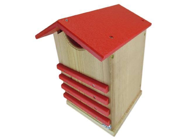 Poly Screech Owl House B424920