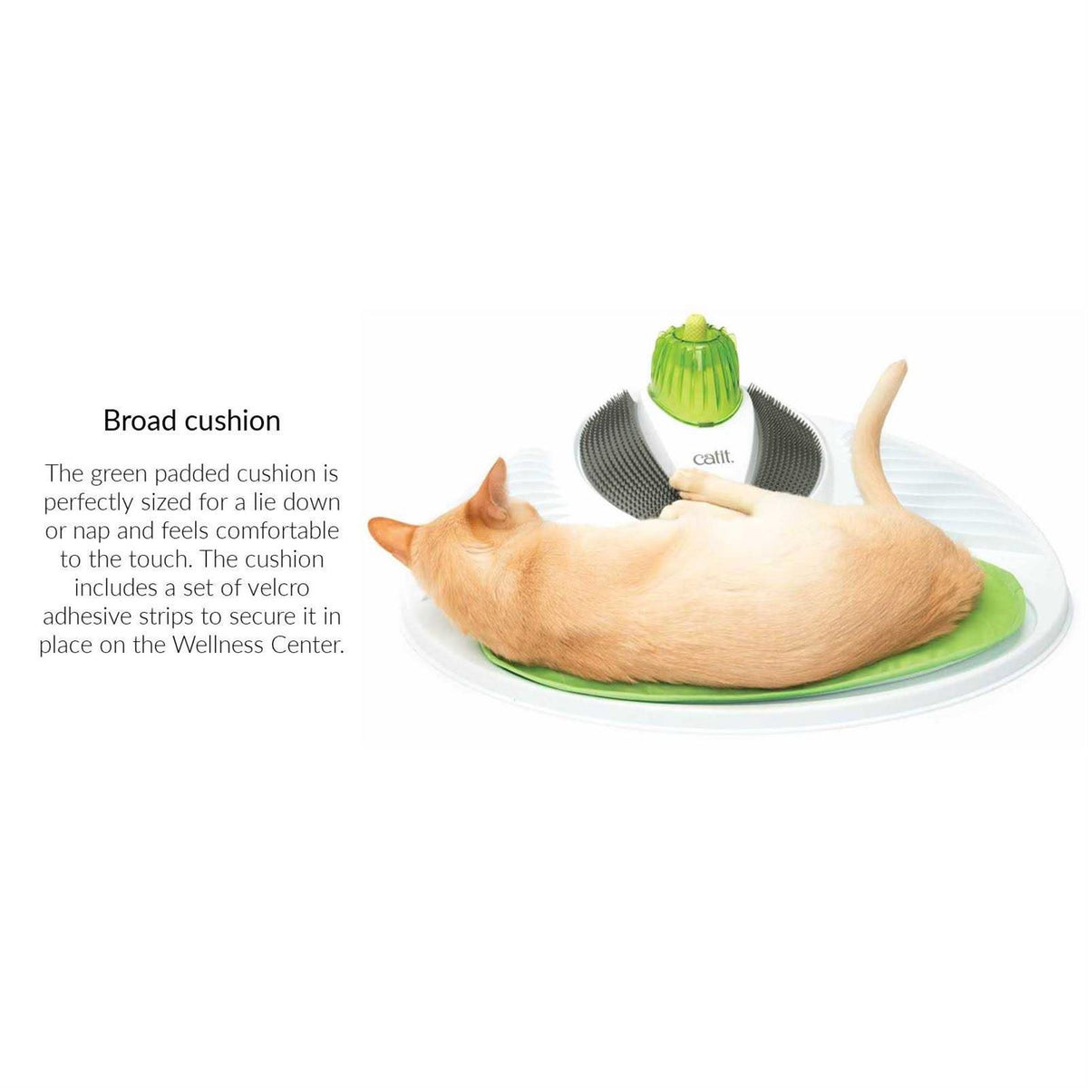 Pet Wellness Center P394