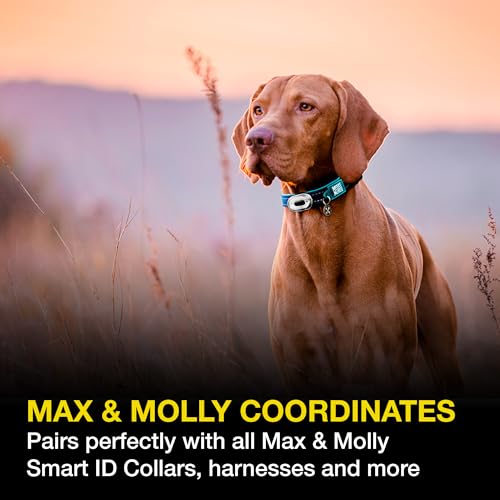 Rechargeable LED Dog Collar Light - Waterproof Silicone Safety Light E183