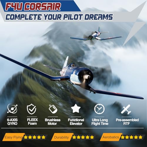 4 Channel RC Plane E418