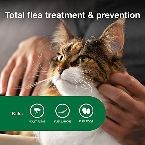 12-Month Supply Flea Treatment for Cats Over 9 lbs. V31507