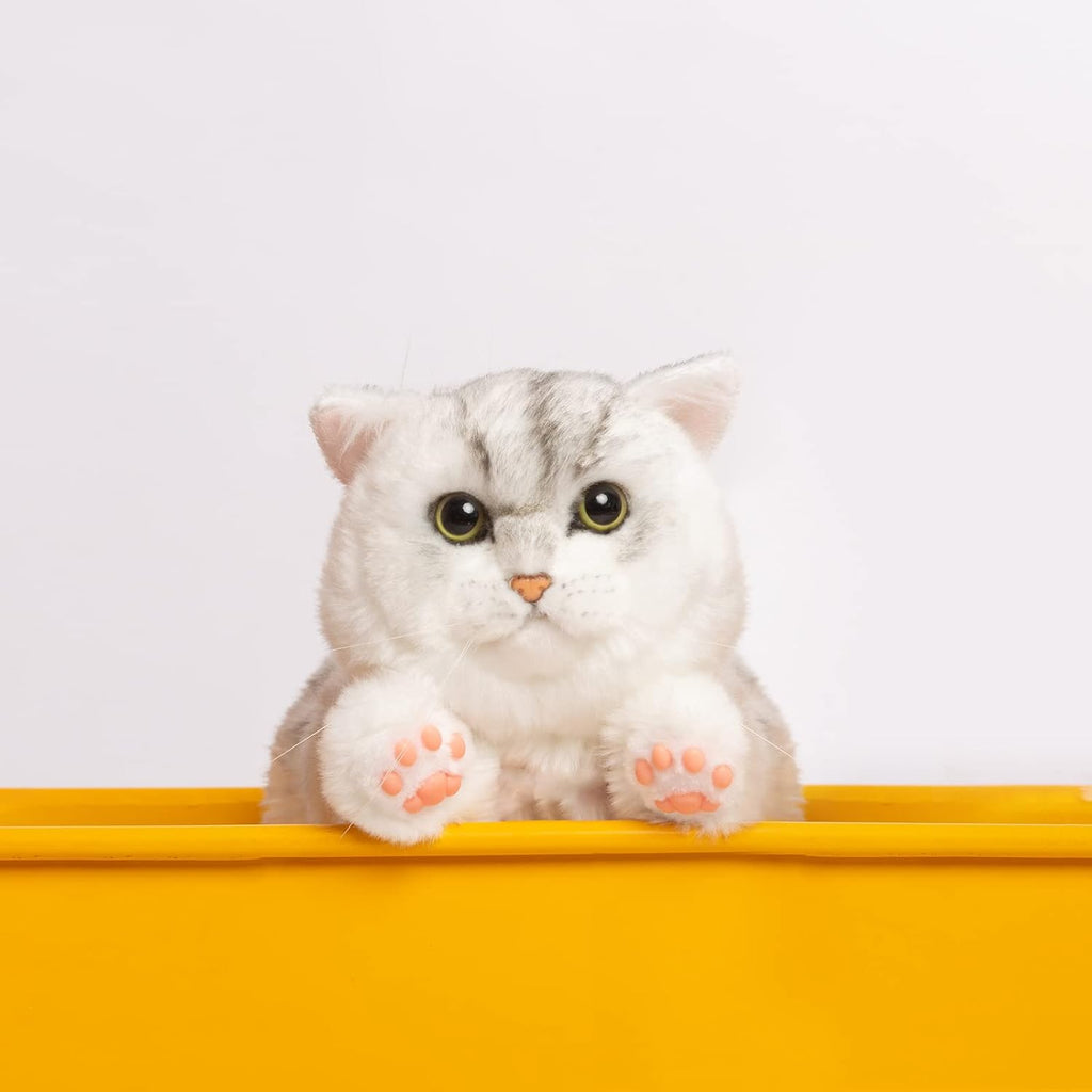 Handmade Lifelike Real Size Cat Plush Toy A571