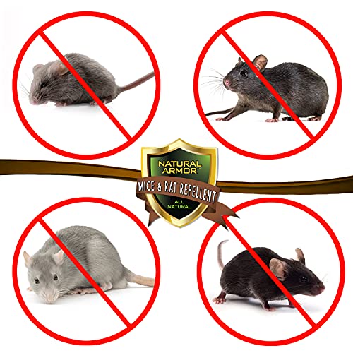 128 OZ Peppermint Natural Rodent Repellent Spray A18900