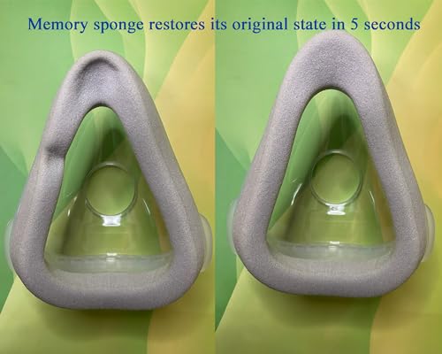 2 Count Large Memory Foam Replacement Cushion F513