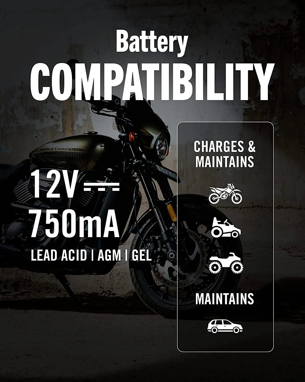 12V 750mA Automatic Battery Charger and Maintainer R4513