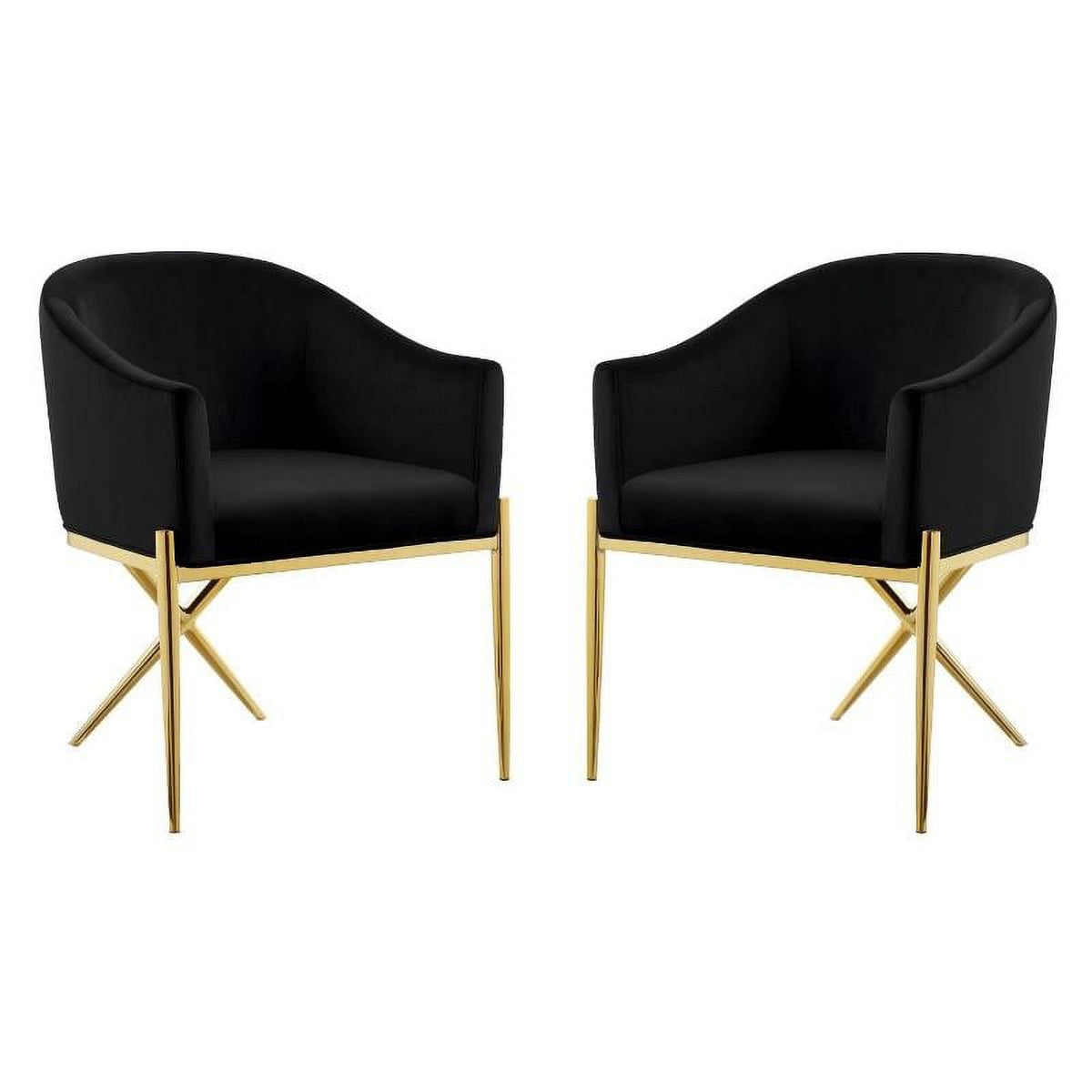 2 Piece Velvet Black Arm Chair Set with Gold Metal Legs R533657