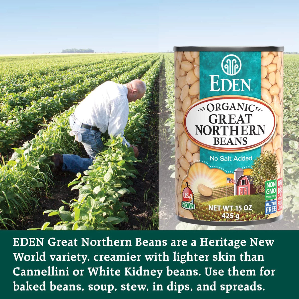 Organic Great Northern Beans 15 oz 12-Pack No Salt Added Z411