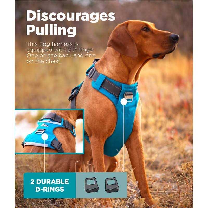 Adjustable Dog Harness with Pockets F712984