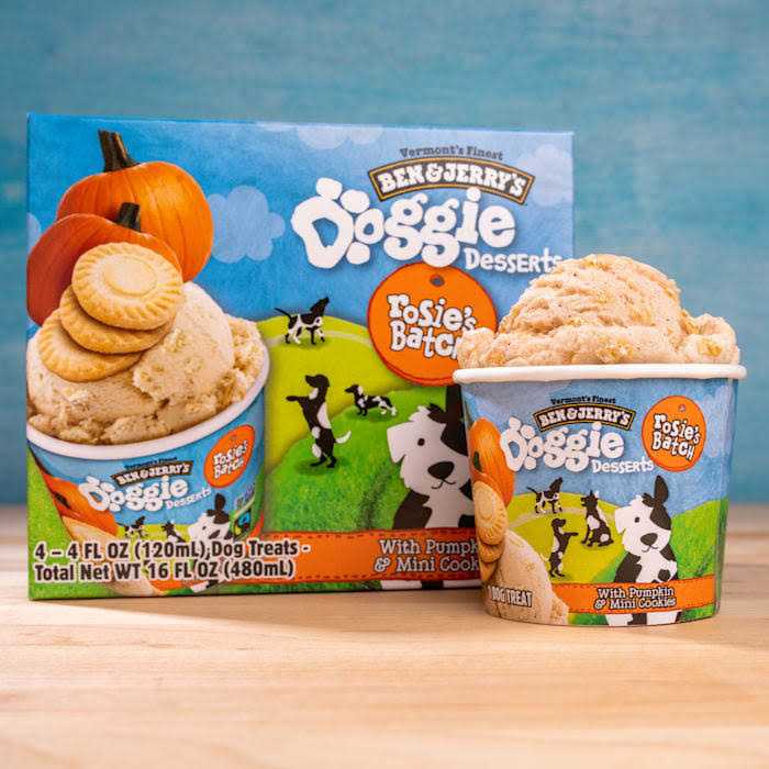 Frozen Dog Treat Pumpkin & Mini Cookies V17996