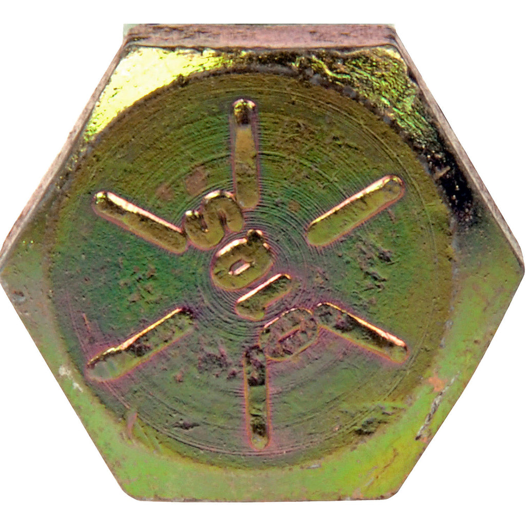 Cap Screw M31544