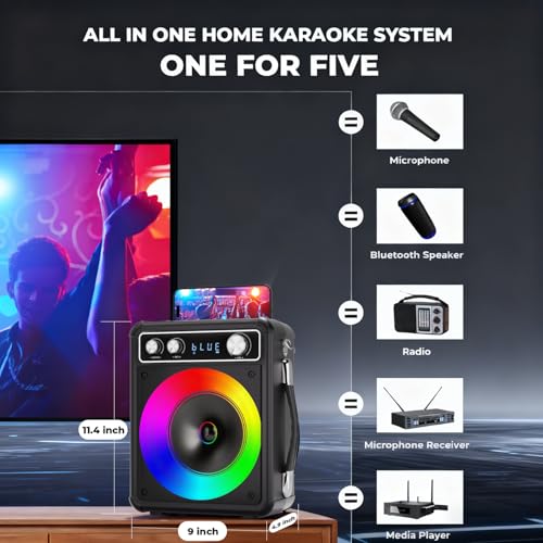 Portable Bluetooth Karaoke Speaker with 2 Wireless Microphones I6320