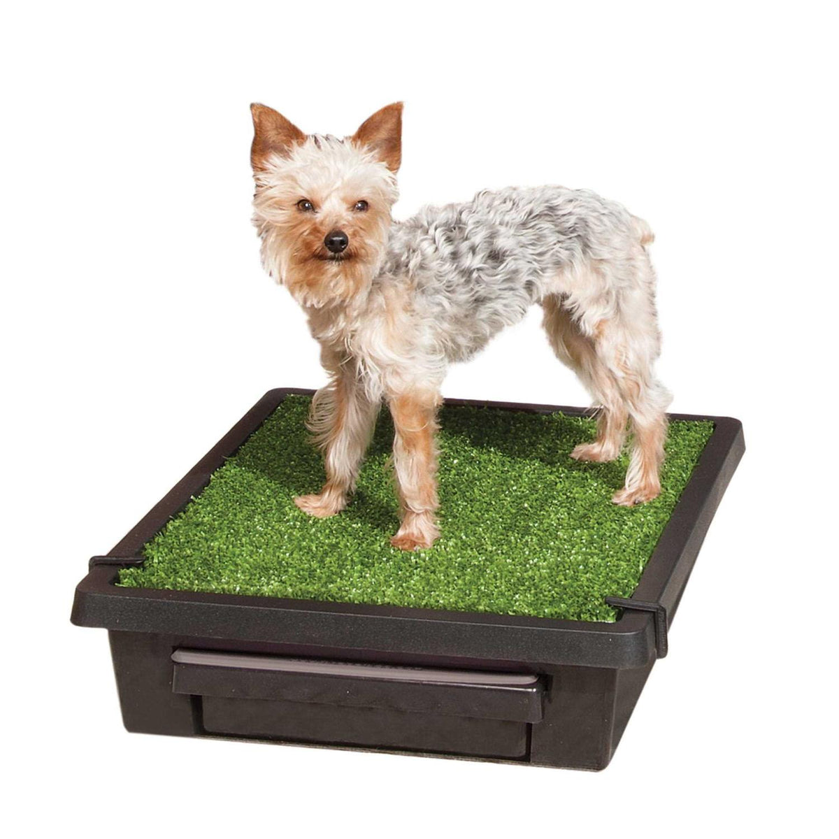 Pet Loo W871