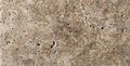 Walnut Unfilled & Tumbled Tile T19483